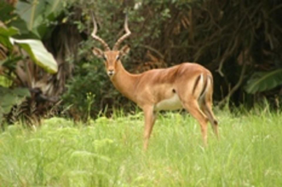 San Lameer Villa 2012 サウスブルーム エクステリア 写真